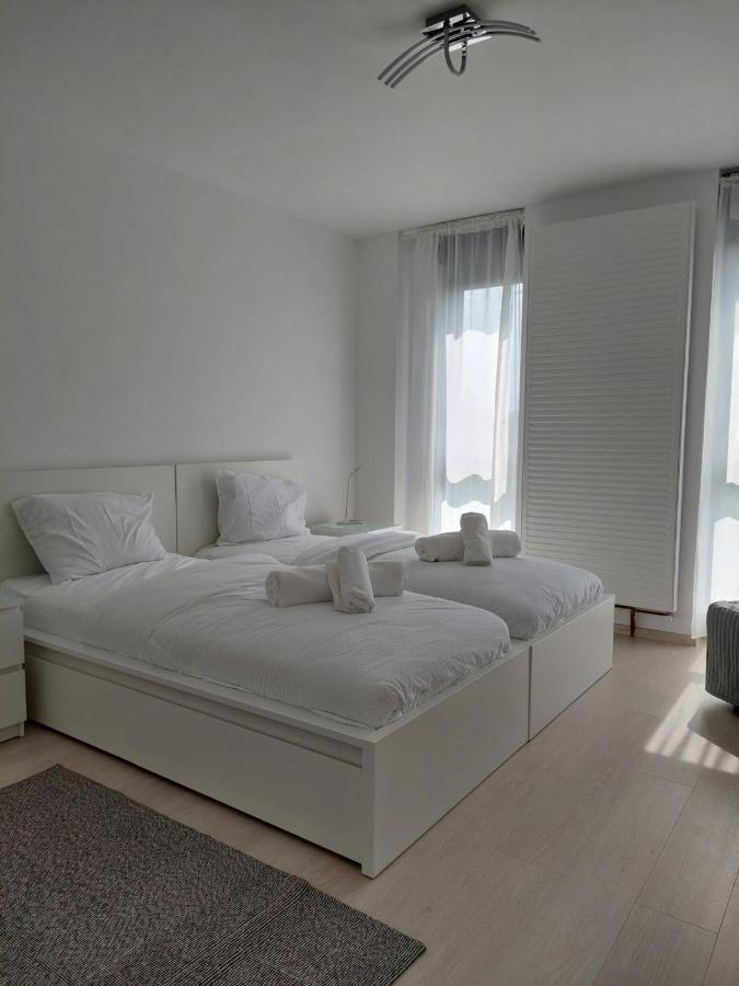 Casa Maria City Apartments Timişoara Extérieur photo