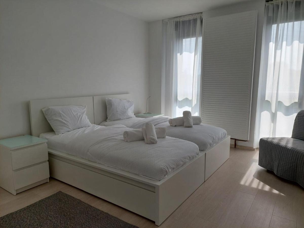 Casa Maria City Apartments Timişoara Extérieur photo